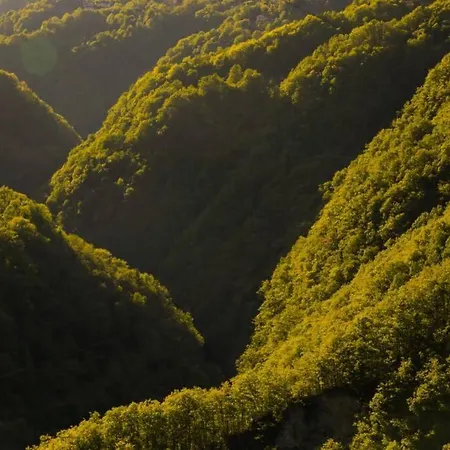 Wild Valley Tiny Escape Σπίτι διακοπών *
